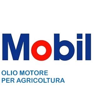 Team Oil | Oli e Lubrificanti | San Giuliano Milanese