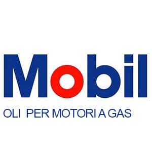 Team Oil | Oli e Lubrificanti | San Giuliano Milanese